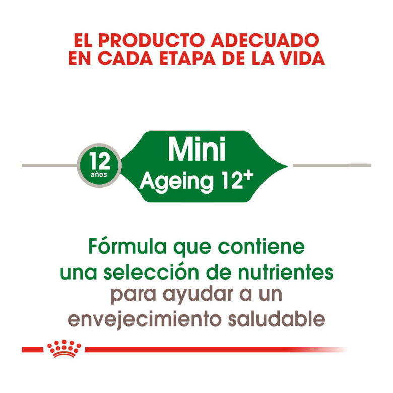 Royal Canin Mini 12+ Ageing pienso para perros, , large image number null